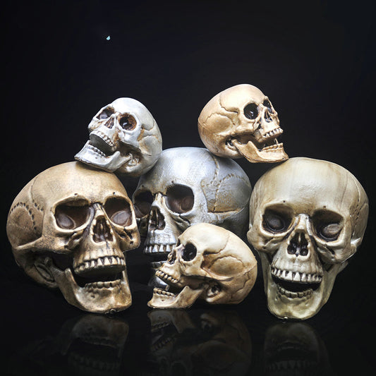 Skull Decor Prop