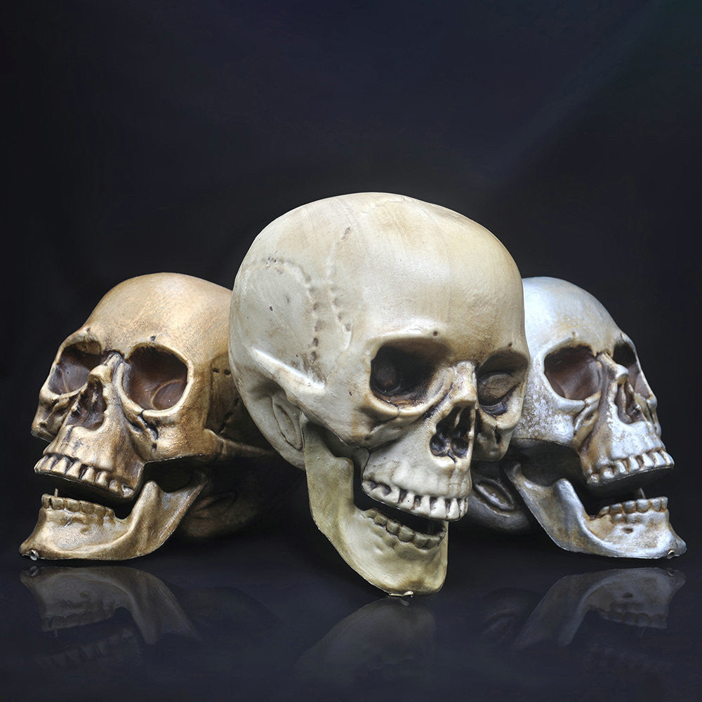 Skull Decor Prop