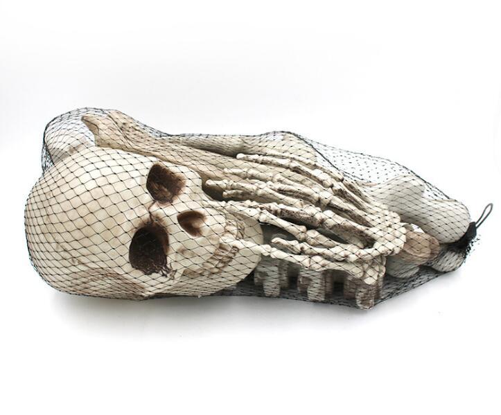 Skeleton Pile Collection