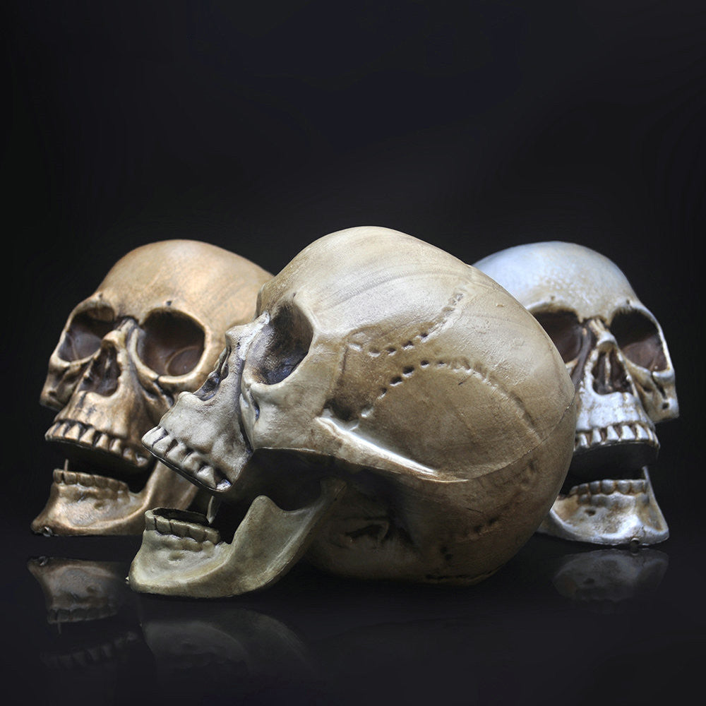 Skull Decor Prop