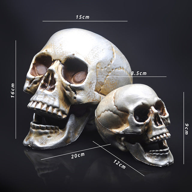 Skull Decor Prop
