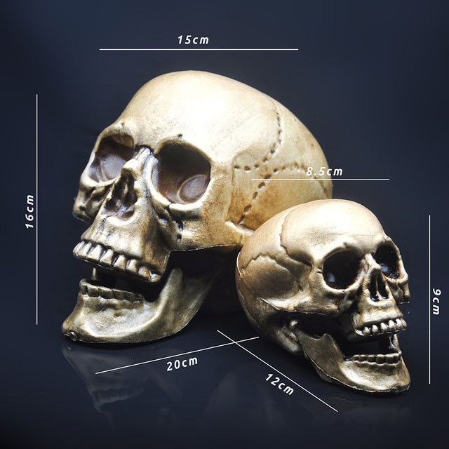Skull Decor Prop