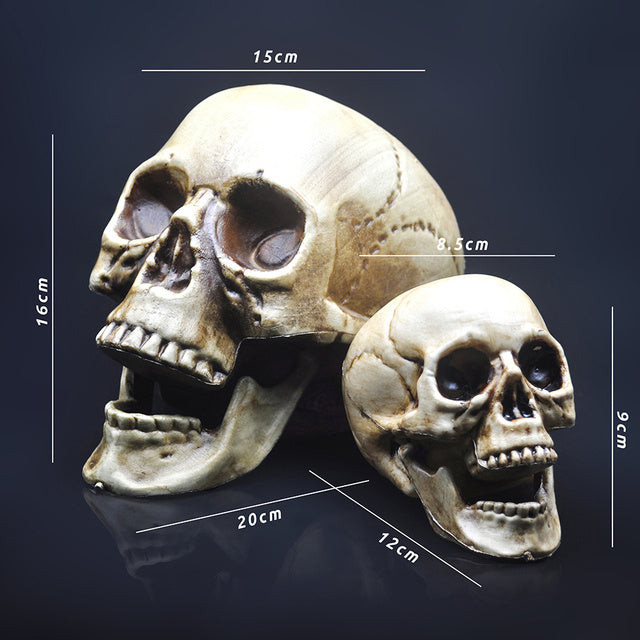 Skull Decor Prop